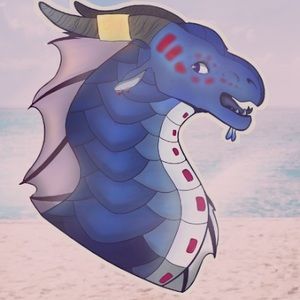 Meet your Posher, King